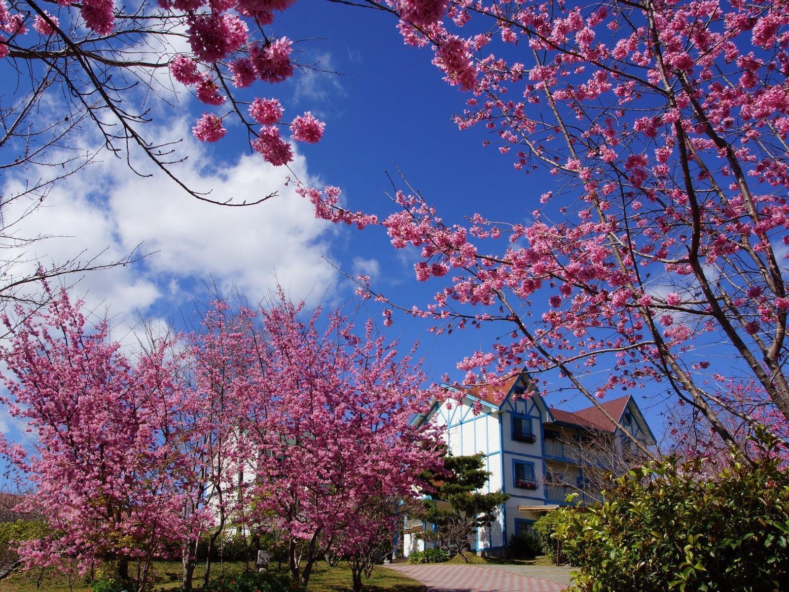 清境 百里莊園 Baili Manor Cing Jing Apartman Zsenaj Kültér fotó